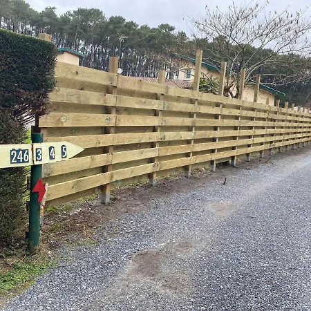 Lous Pins *